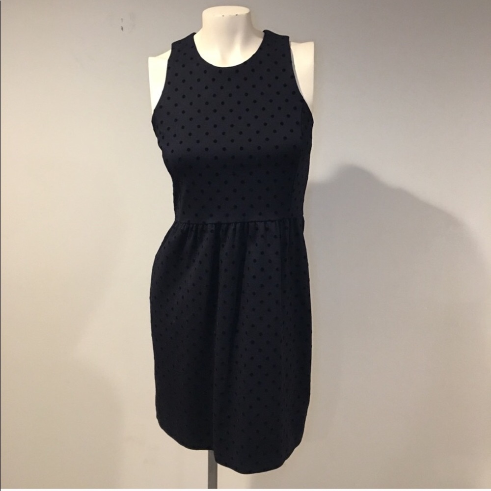 J Crew skater Dress Black on Black Polka Dot XS